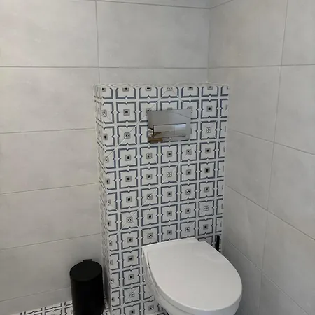 Bukszpan Farma Sasino