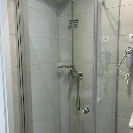 Bukszpan Farma Sasino